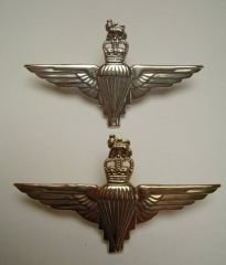 Para Regt CapBadge.jpg